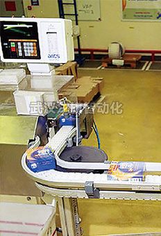 輸送機(jī)工程案例